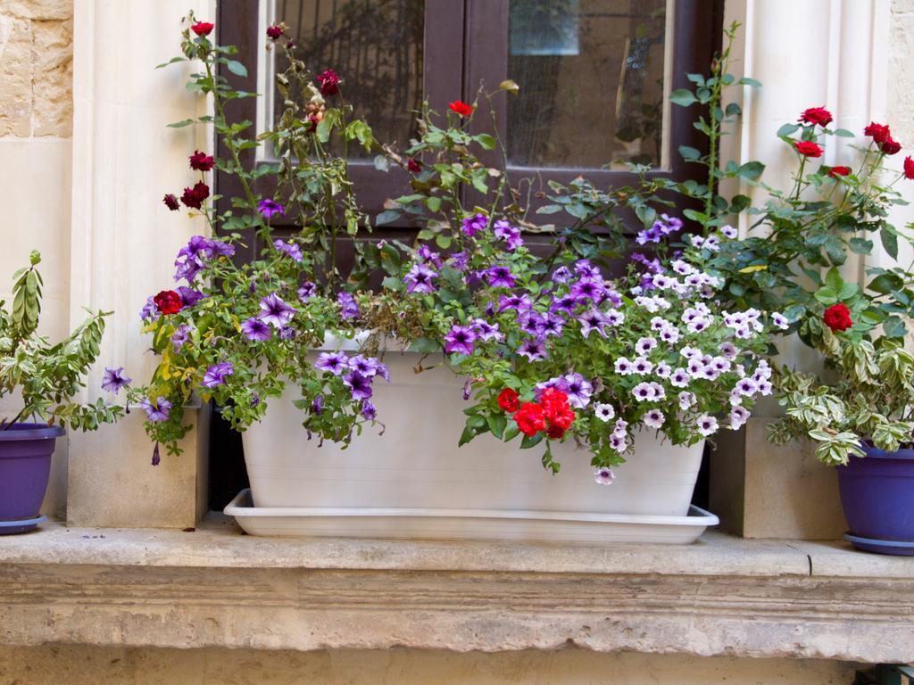 B&B Corte Dell' Idume Lecce Bagian luar foto